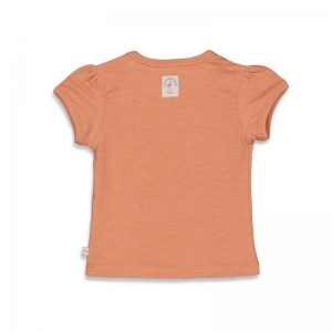 51700771 terra pink