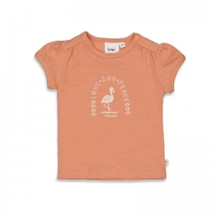 51700771 terra pink