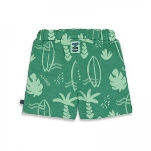 52100339 groen