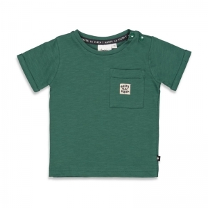 51700811 groen