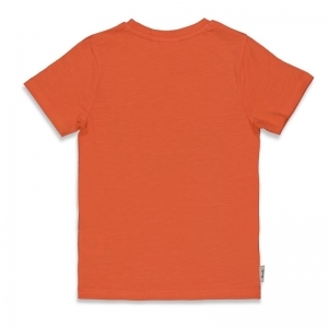 71700405 oranje