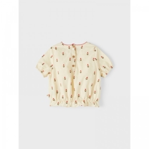  turtledove