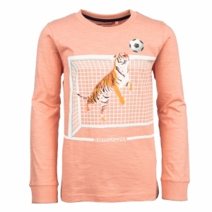 21991 goalstopper pink