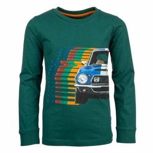 21994 ready green
