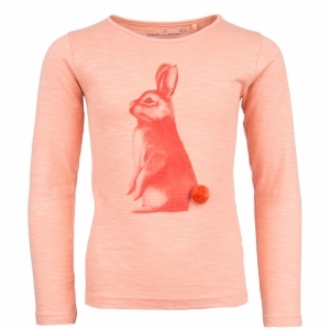 31795 bunny pink