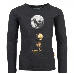 31810 to the moon d.m.grey