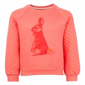 43759 bunny rose