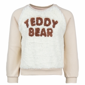 43762 teddy bear sand