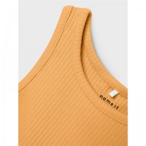 chamois