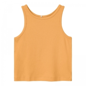 chamois