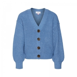 coronet blue
