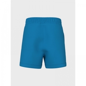 swedish blue