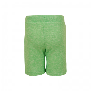 sb34.241.57486 short green