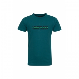 B02.241.24242 t-shirt light turquoise