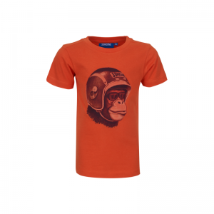 SB02.241.24253 t-shirt bright orange