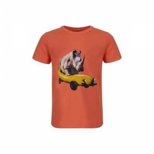 SB02.241.24170 t-shirt orange