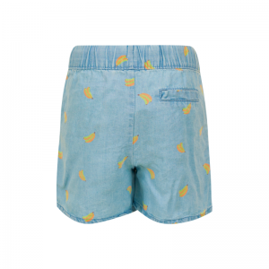 SG34.241.24307 short light blue deni