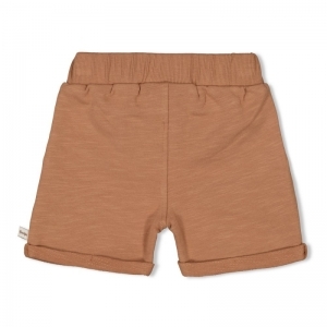 short - lets sail bruin