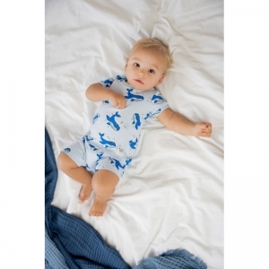  blauw