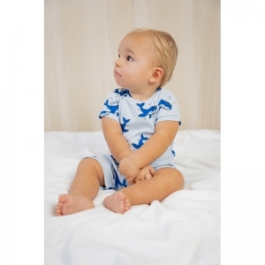  blauw