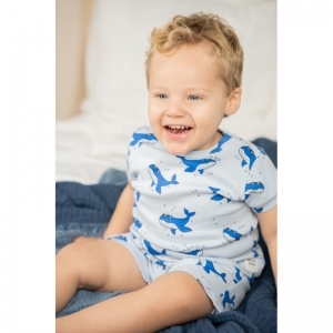 blauw