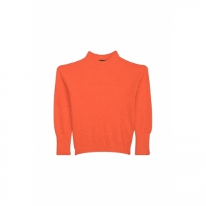 G12.242.40291 orange