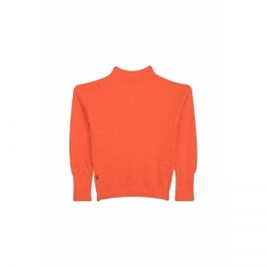 G12.242.40291 orange