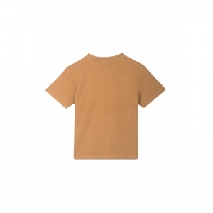 B02.242.50381 dark beige