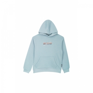 B16.242.50443 light blue