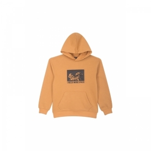 B16.242.50434 camel