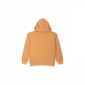 B16.242.50434 camel