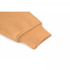 B16.242.50434  camel
