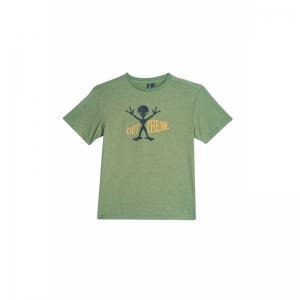 B02.242.50439 grey khaki