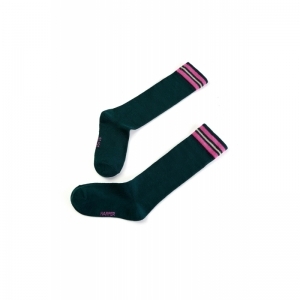 SG81.902.10012 dark green