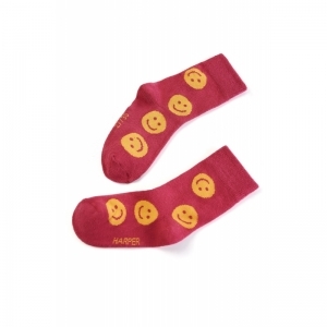 SG81.902.10017 raspberry