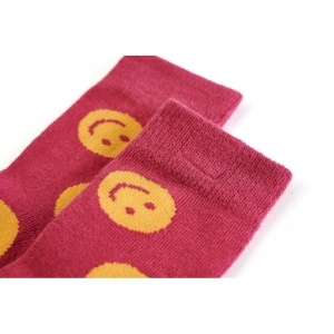 SG81.902.10017 raspberry