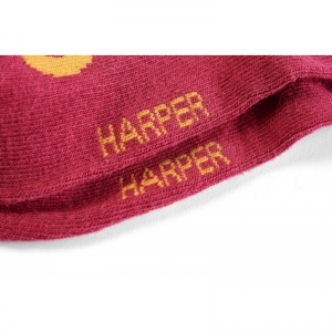 SG81.902.10017 raspberry