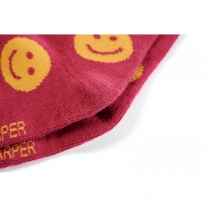 SG81.902.10017 raspberry