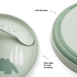 DD-1736243 green