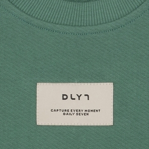 920033 slate green