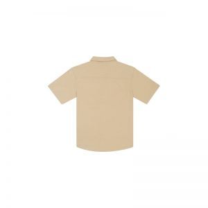 B21.251.92014 dark beige