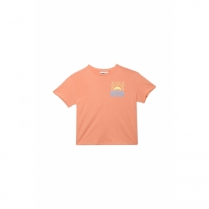 G02.251.50534 bright peach