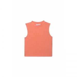 G01.251.50560 fluo orange