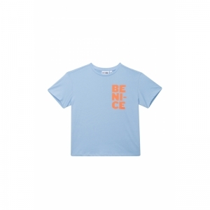 G02.251.50558 light blue