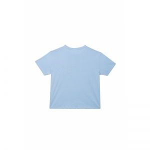 G02.251.50558 light blue