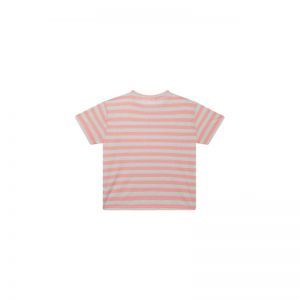 G02.251.50524 bright coral