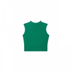 G01.251.50599 medium green