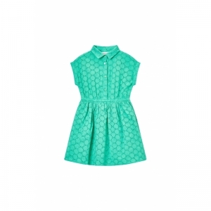 SG51.251.58136 medium green