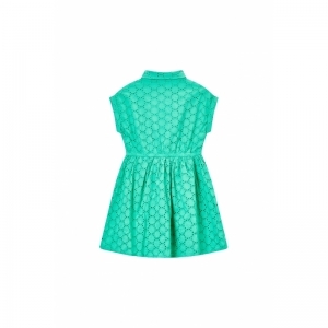 SG51.251.58136 medium green