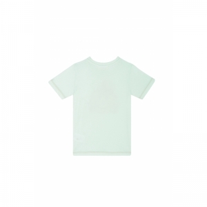 SB02.251.58038 light green